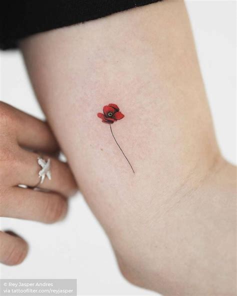 Freshly picked poppy flower for your Sunday afternoon. Welcome to Auckland city Gina and thank ...