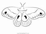 Cecropia Moth Wings Coloring Page For Kids  Free Moths Printable sketch template