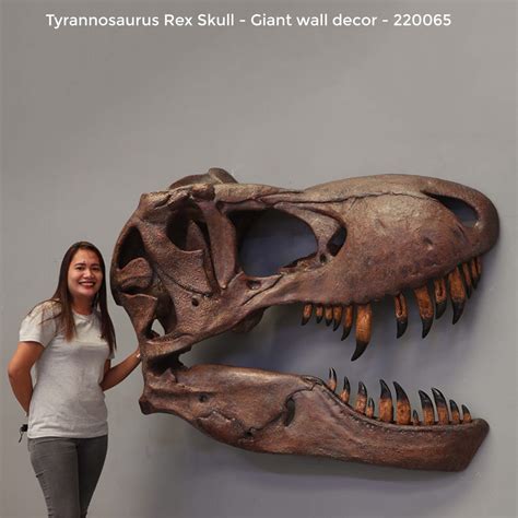 Tyrannosaurus Rex Skull - Giant Wall Decor - Sculpture & Statue