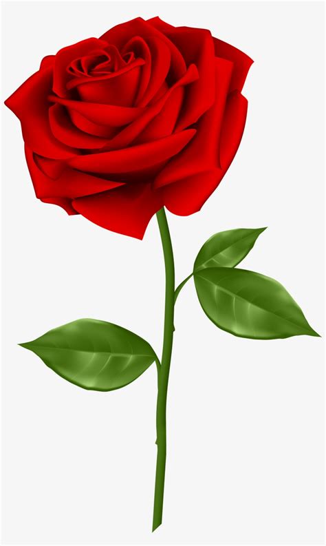 Free Red Rose Clipart, Download Free Red Rose Clipart png images, Free ...