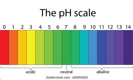 2,835 Ph Scale Images, Stock Photos, 3D objects, & Vectors | Shutterstock