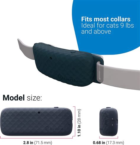 Super Useful GPS Collar Reveals Where Your Cat Likes To Go - Life