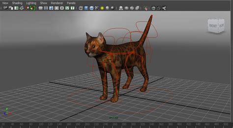 3D Model Cat Rigged | 1142658 | TurboSquid