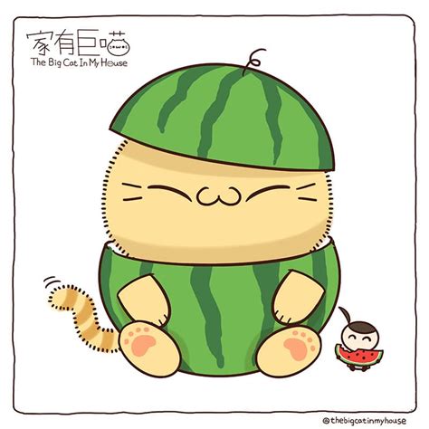 夏日西瓜🍉~喵^≧ω≦^ Summer watermelon~meow - 個人看板板 | Dcard