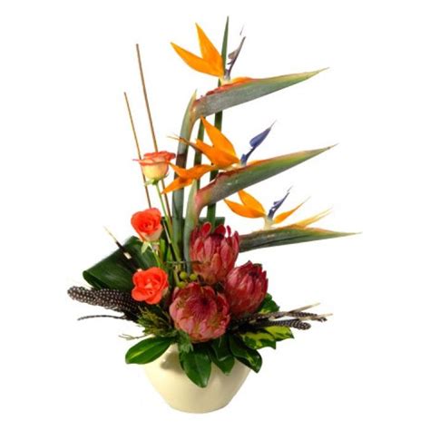 Out of Africa | Flower arrangements, African flowers, Beautiful flower arrangements