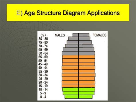 Age Structure Diagram Shapes