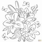 50 Lilies Coloring Pages  ColoringPagesOnlycom sketch template