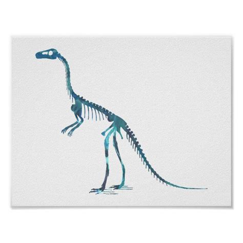 compsognathus skeleton poster | Zazzle | Poster, Skeleton, Artwork