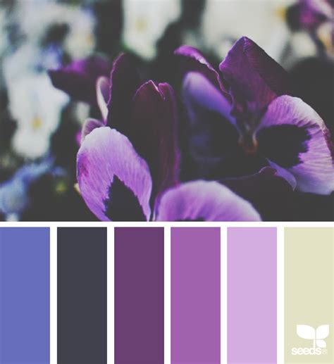Seeds Color Palette, Color Palette Challenge, Colour Pallette, Purple Palette, Types Of Color ...