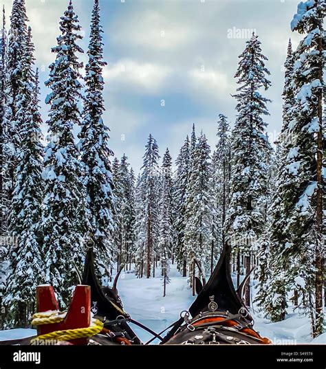 Horse Sleigh Ride Stock Photo - Alamy