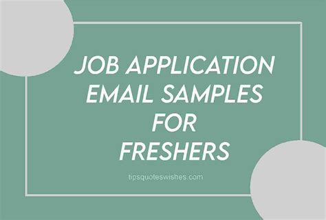 [2024] Simple Job Application Email Sample For Freshers - TipsQuotesWishes