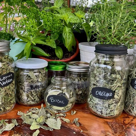 6 Tips for How to Store Dried Herbs for Long-lasting Flavor - GettyStewart.com