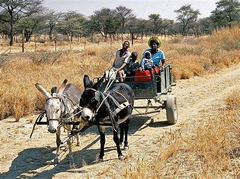 Tribes And Ethnic Groups Of Namibia - WorldAtlas.com