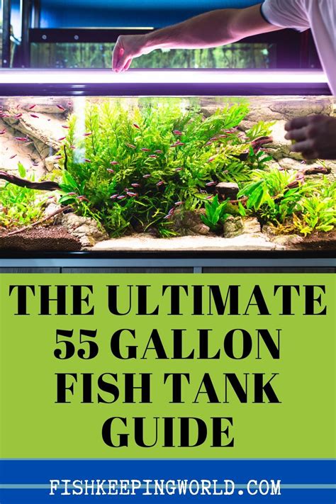 55 gallon fish tank guide best fish setup ideas equipment and more – Artofit