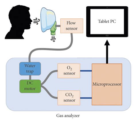 Functional diagram of the respiratory gas analyzer. The flow velocity ...