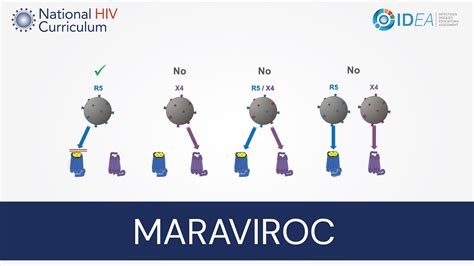 Mini-Lecture Series: Maraviroc - YouTube