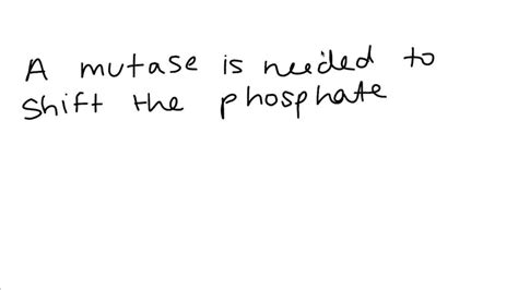 SOLVED:Why is the enzyme phosphoglucomutase used in both glycogenolysis ...