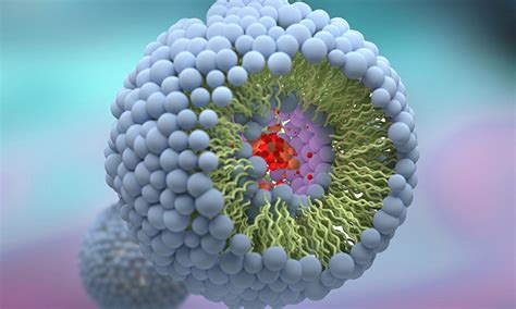 Liposome Services - Creative Biostructure