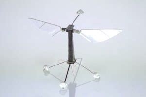 robotic-bee-harvard – Plan Bi