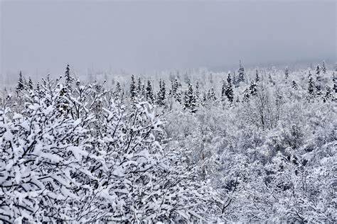 PHOTOS: SNOW in Anchorage! (But maybe not for long, the Weather Service ...