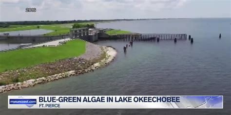 Blue-Green Algae found in Lake Okeechobee, reports say