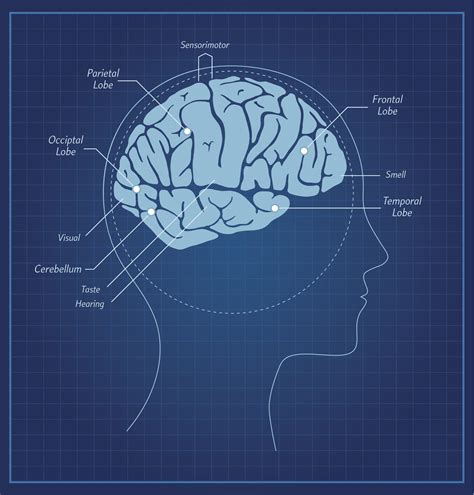 Corticobasal Degeneration and Frontotemporal Dementia