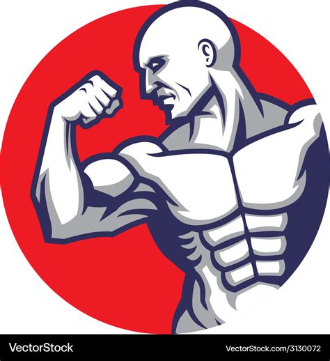 Muscle man pose Royalty Free Vector Image - VectorStock