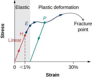 Deformation of Tissues – Body Physics: Motion to Metabolism