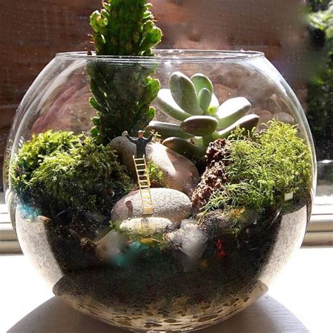 25+ Adorable Miniature Terrarium Ideas For You To Try