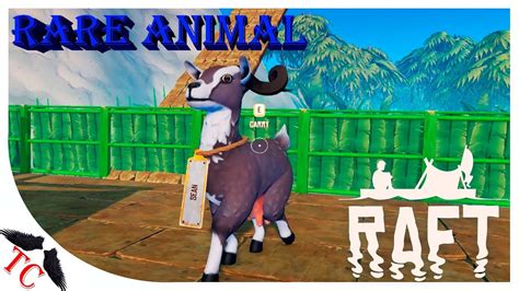 Rare animal Raft S01E16 - YouTube