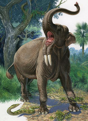 Deinotherium/Gallery | Dinopedia | Fandom | Extinct animals, Ancient animals, Prehistoric animals