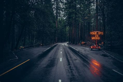 Dark Forest Road Wallpaper