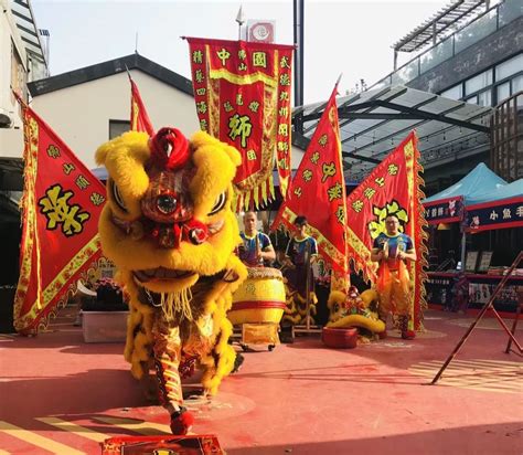 Colourful Lion and Dragon Dance Photo by Sifu Derek Frearson | Chinese lion dance, Dragon dance ...