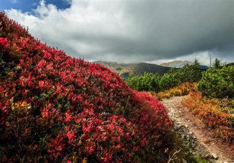 Slovenská priroda | Natural landmarks, Nature, Landmarks