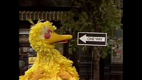 1146 Big Bird's ONE WAY Journey - YouTube