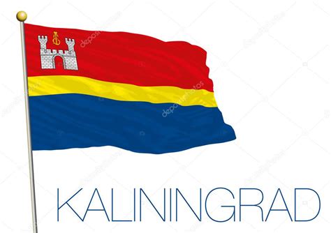 kaliningrad flag isolated on the white background — Stock Vector © frizio #91664070