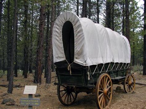 10 Facts about Covered Wagons | Fact File