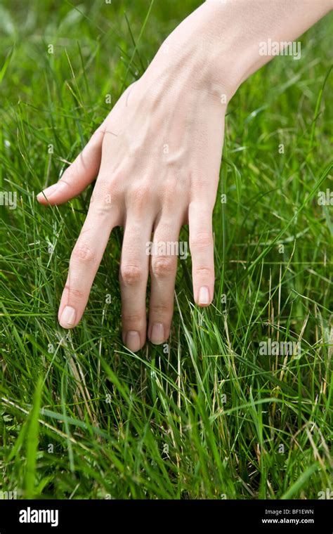 A hand touching grass Stock Photo - Alamy