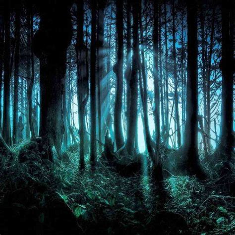 17 Best images about Haunted forest backdrops on Pinterest | Fairy tales, Trees and Mystical forest