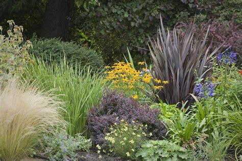 12 Ornamental Grasses That Will Stop Traffic