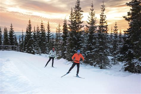 Best Cross-Country Skis and How to Choose Them | GearJunkie