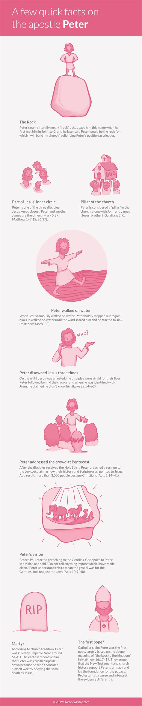 Who Was the Apostle Peter? The Beginner's Guide - OverviewBible