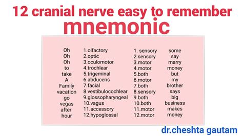 How To Remember Cranial Nerves Mnemonic | Images and Photos finder