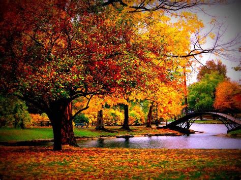 Free download Fall Pictures. | Free fall wallpaper, Fall desktop backgrounds, Nature desktop ...