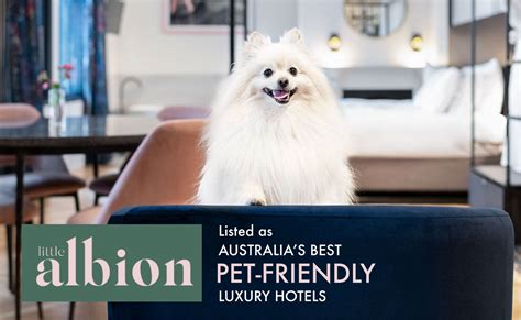 11 of Australia’s best pet-friendly luxury hotels