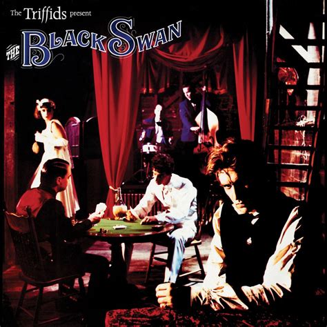 ‎The Black Swan - Album by The Triffids - Apple Music