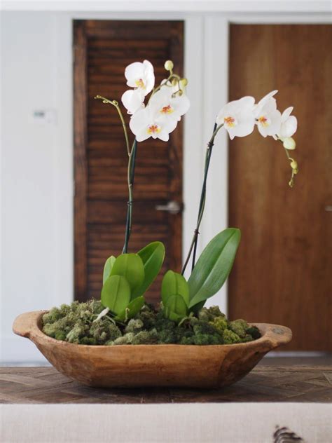 How To: Potted Orchids Displayed In A Dough Bowl #Orchids | Orchid ...