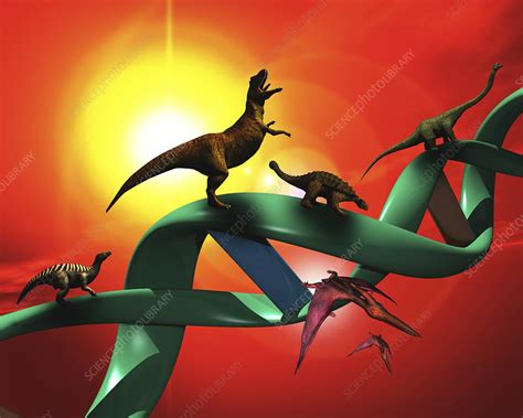 Dinosaur DNA - Stock Image - E446/0575 - Science Photo Library