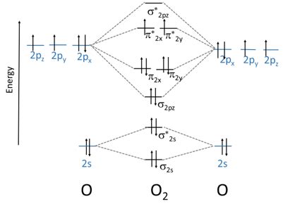 What is the bond order of HF? | Homework.Study.com