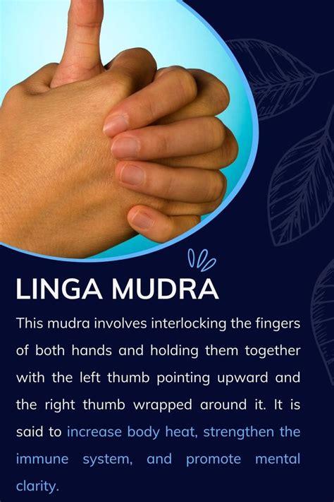 Linga Mudra | Mudras, Hand mudras, Mudras meanings